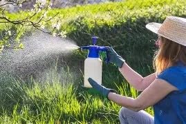 Seaweed Fertiliser Premium Liquid (1:200) 5L – Organic Plant Feed for Vegetables, Flowers, Lawns & Shrubs – Sunshine Renewables UK