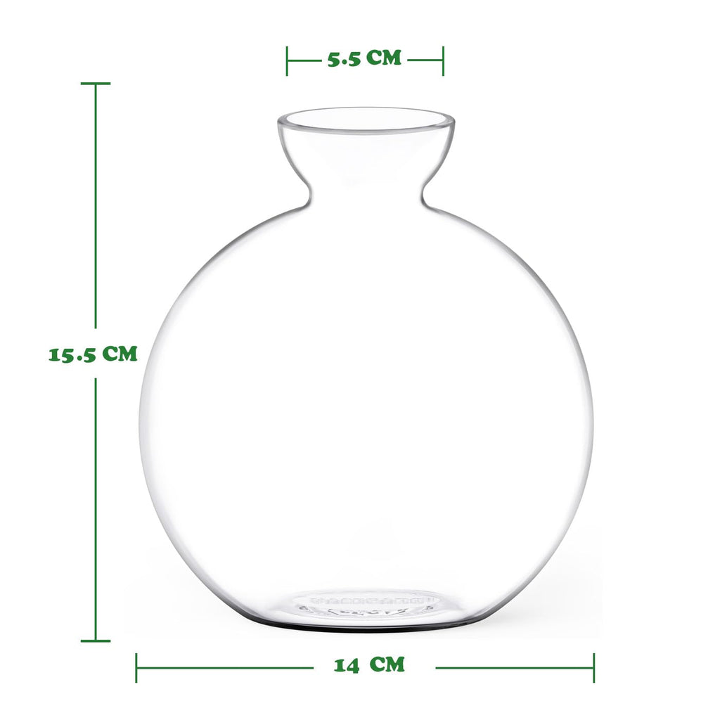 Vase for Acorn, Hand-Blown Clear Glass Vases for Acorns, Gift for Plant Lovers