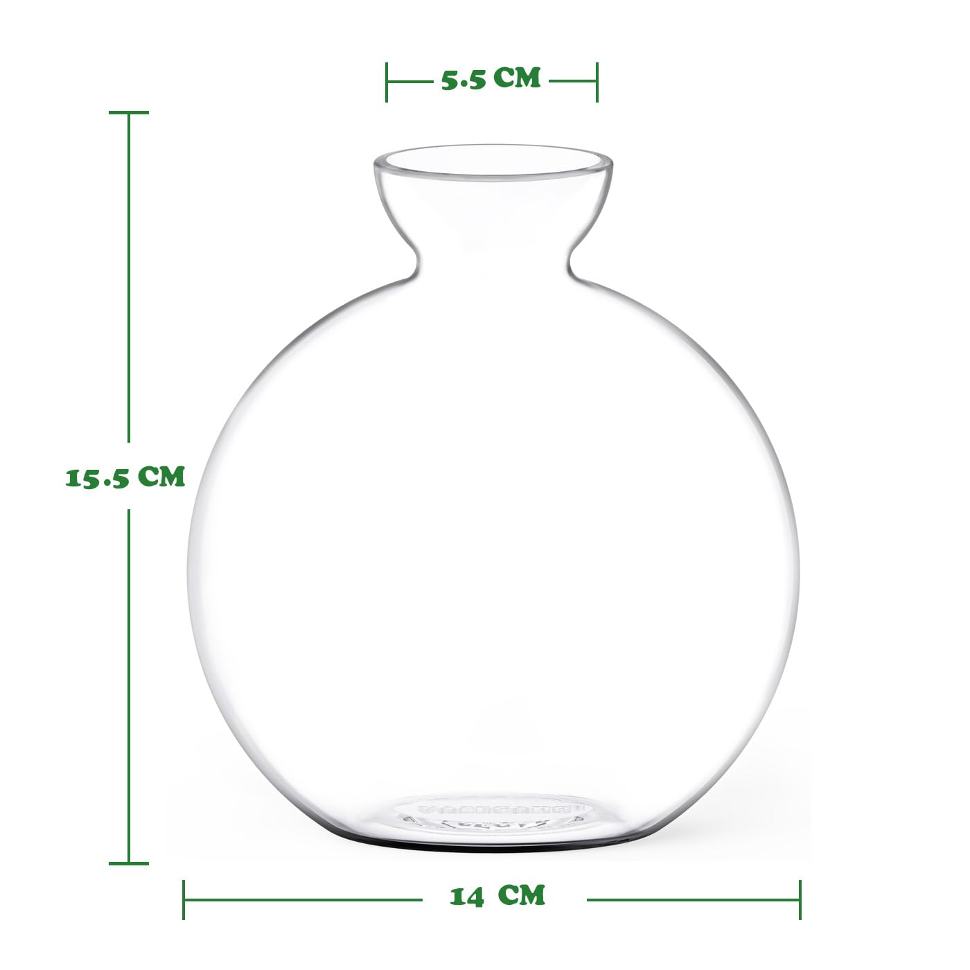 Vase for Acorn, Hand-Blown Clear Glass Vases for Acorns, Gift for Plant Lovers