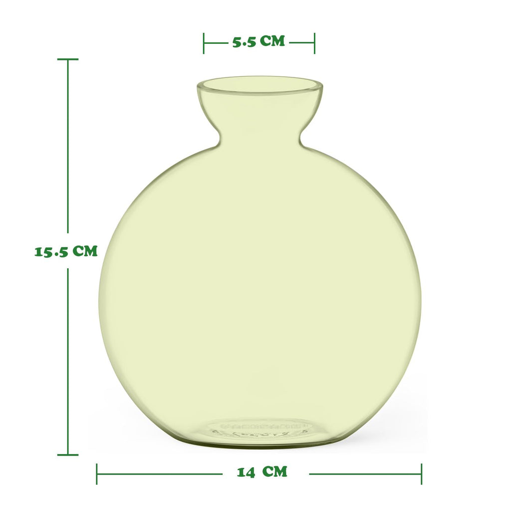 Vase for Acorn, Hand-Blown Clear Glass Vases for Acorns, Gift for Plant Lovers