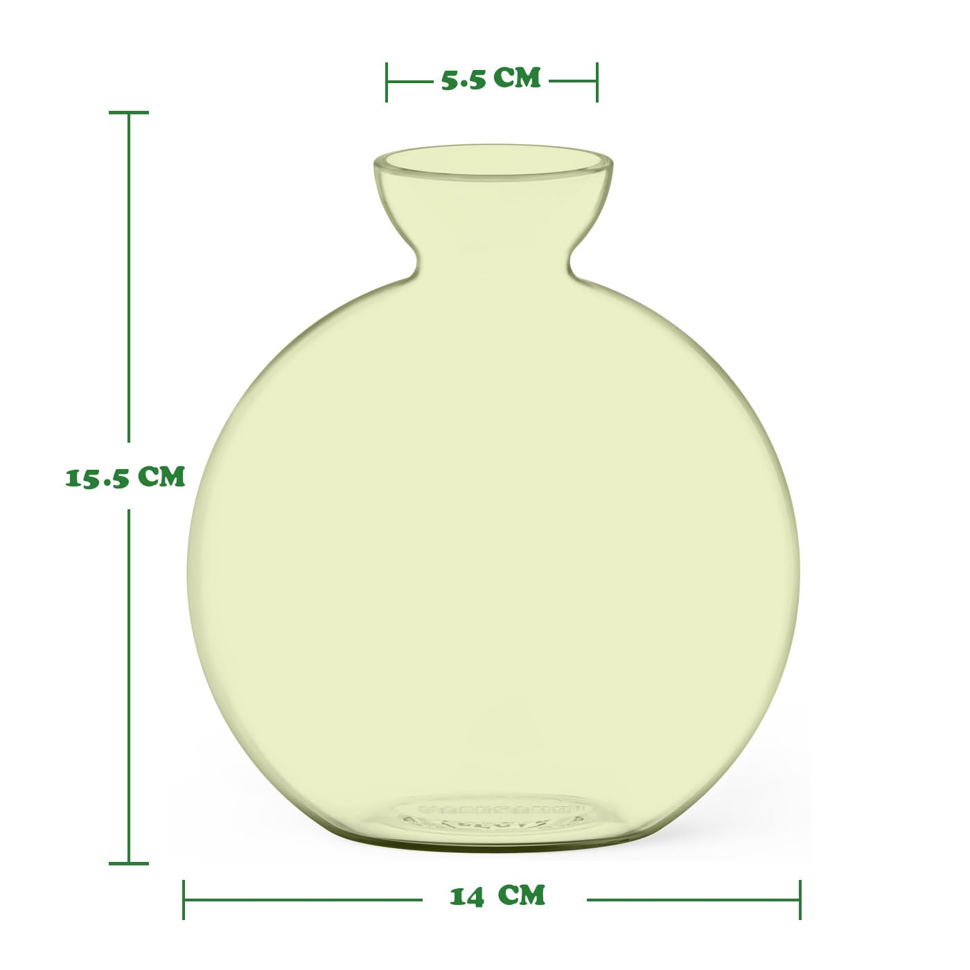 Vase for Acorn, Hand-Blown Clear Glass Vases for Acorns, Gift for Plant Lovers