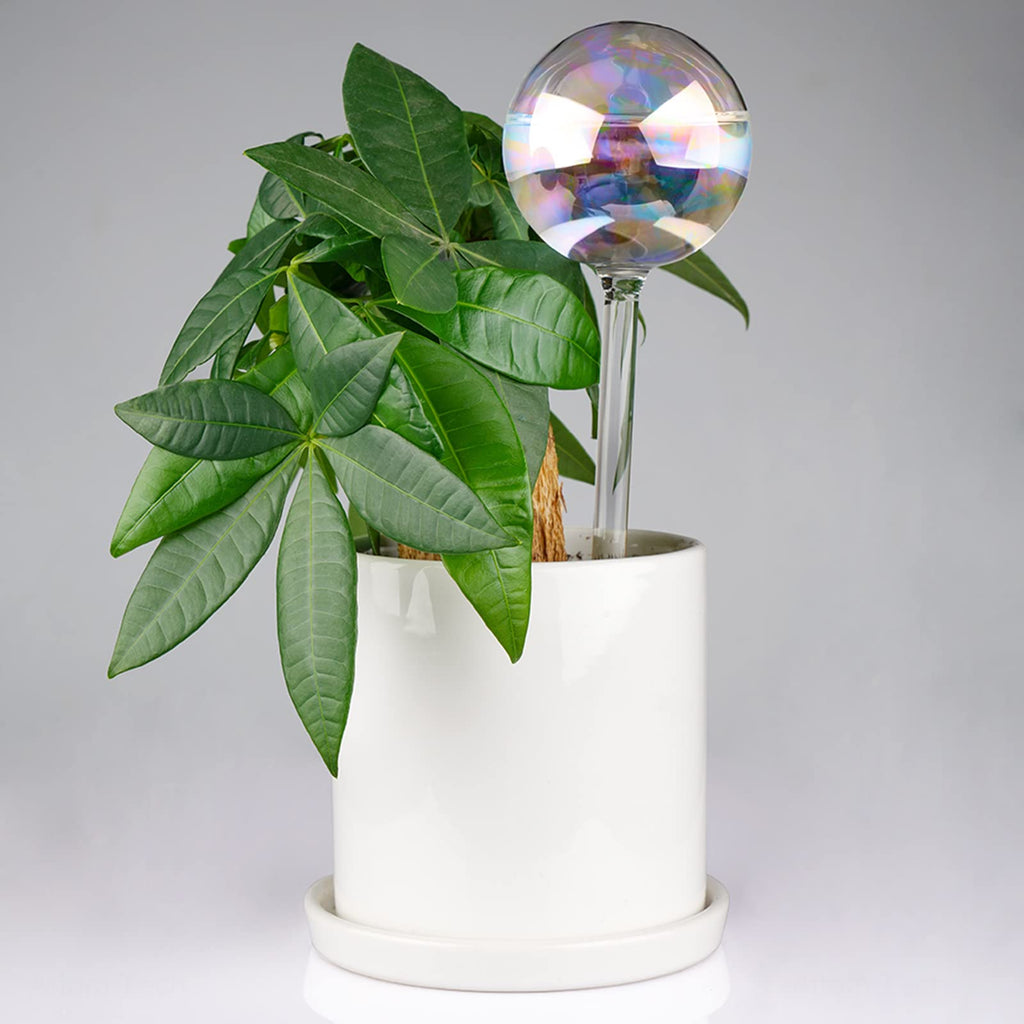 [2 PCS] Light Iridescent Rainbow Gradient Color Clear Glass Self-Watering System Spikes, Self Watering Globes, Self Watering Bulbs, Automatic Plant Waterer Bulbs