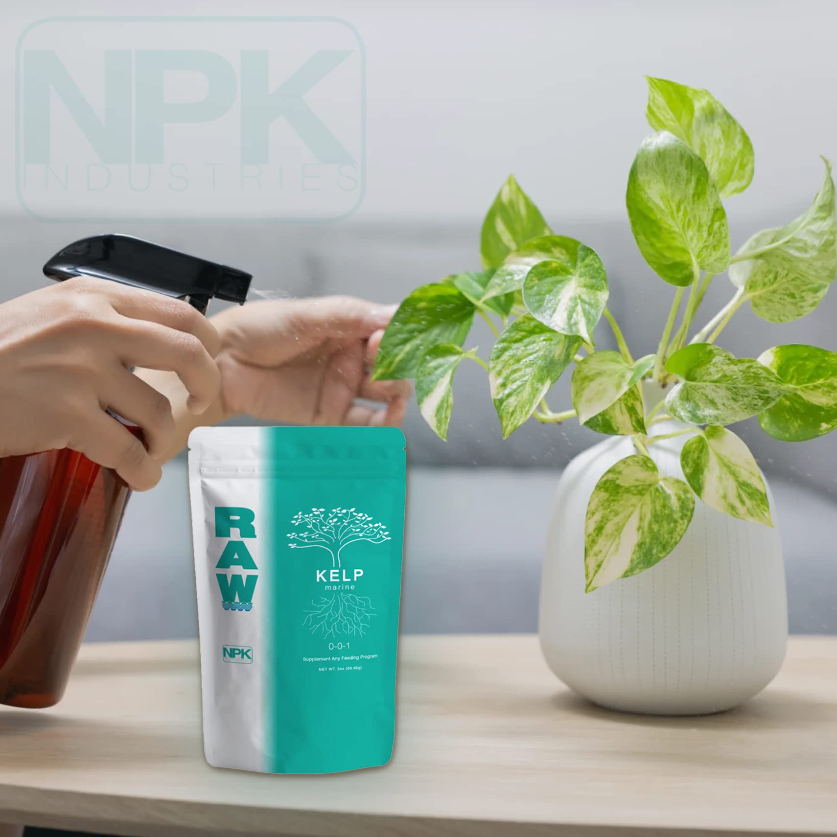 RAW Kelp 0.5 lb.