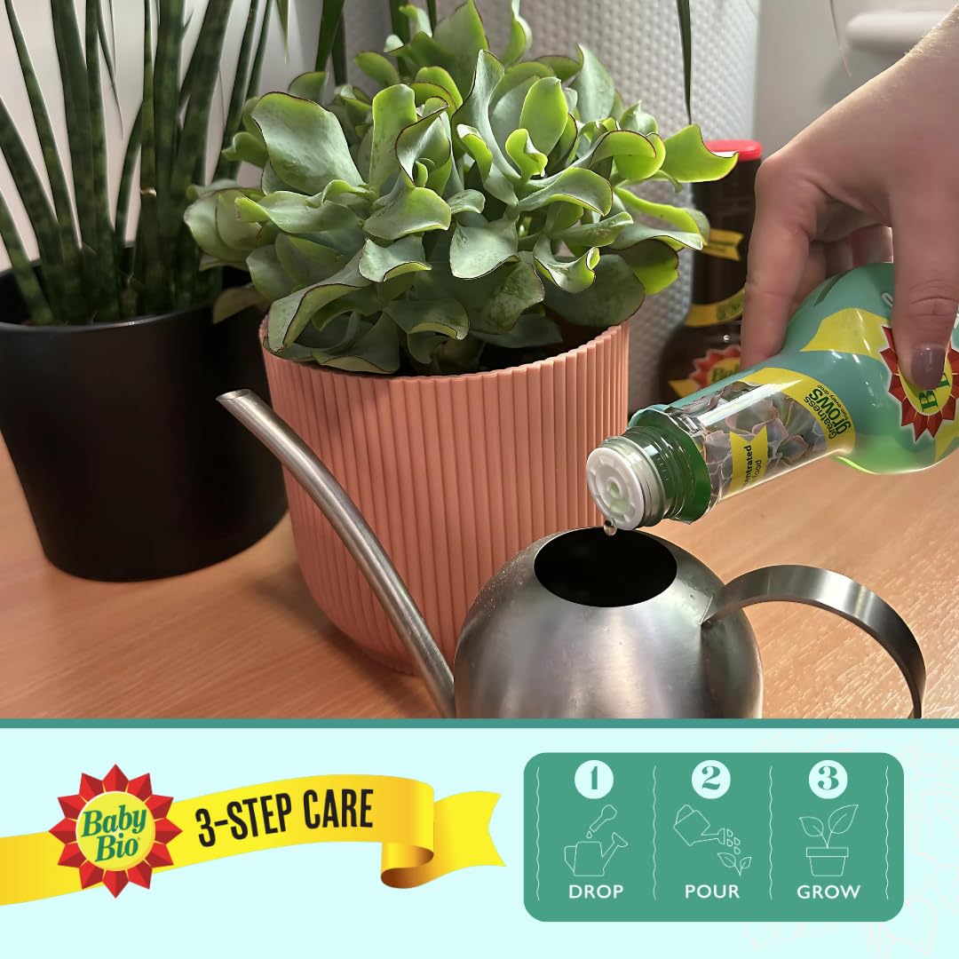 Baby Bio Citrus Food, 175ml - Citrus Plant Food for Healthy Growth and High Potassium for Better Fruit Yield - Year Round Care Concentrate Fertiliser - Fruit Tree Aid Spray