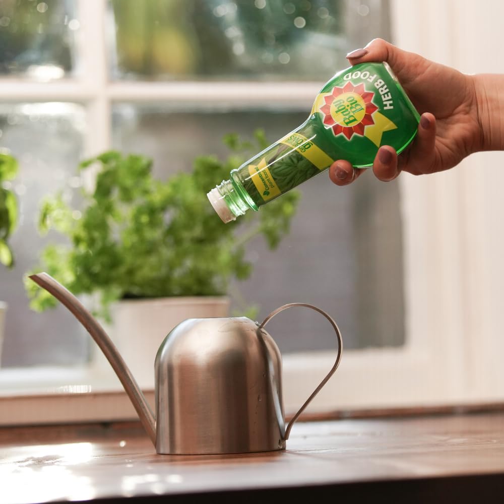 Baby Bio Citrus Food, 175ml - Citrus Plant Food for Healthy Growth and High Potassium for Better Fruit Yield - Year Round Care Concentrate Fertiliser - Fruit Tree Aid Spray