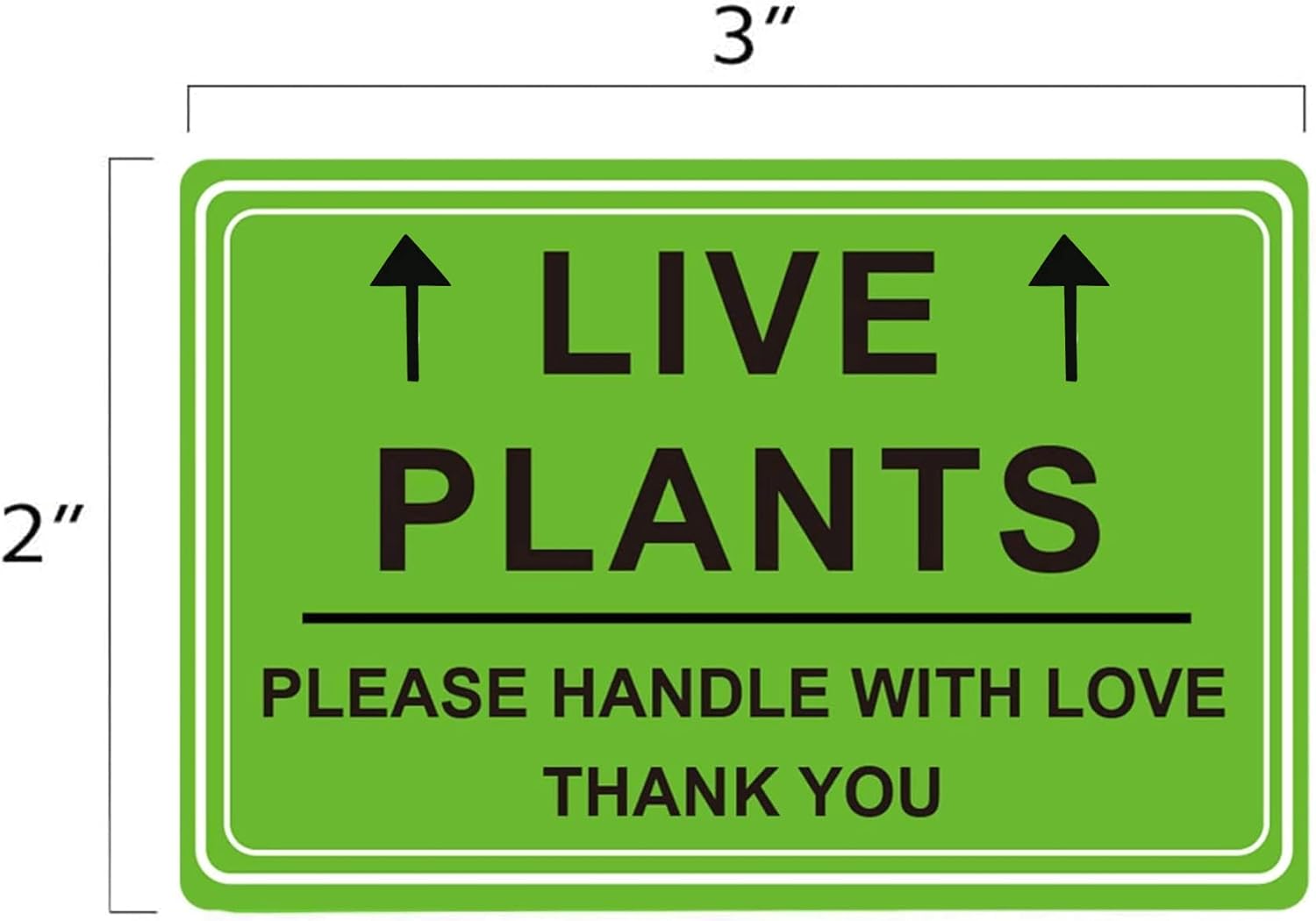 Green Live Plants Stickers for Shipping 2x3 inch Please Handle with Love Stickers Fragile Shipping Labels for Warehouse Pallet Garden Centers,Landscaping,Nurseries 250pcs Live Plants Sticker per roll