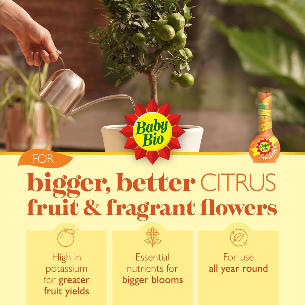 Baby Bio Citrus Food, 175ml - Citrus Plant Food for Healthy Growth and High Potassium for Better Fruit Yield - Year Round Care Concentrate Fertiliser - Fruit Tree Aid Spray