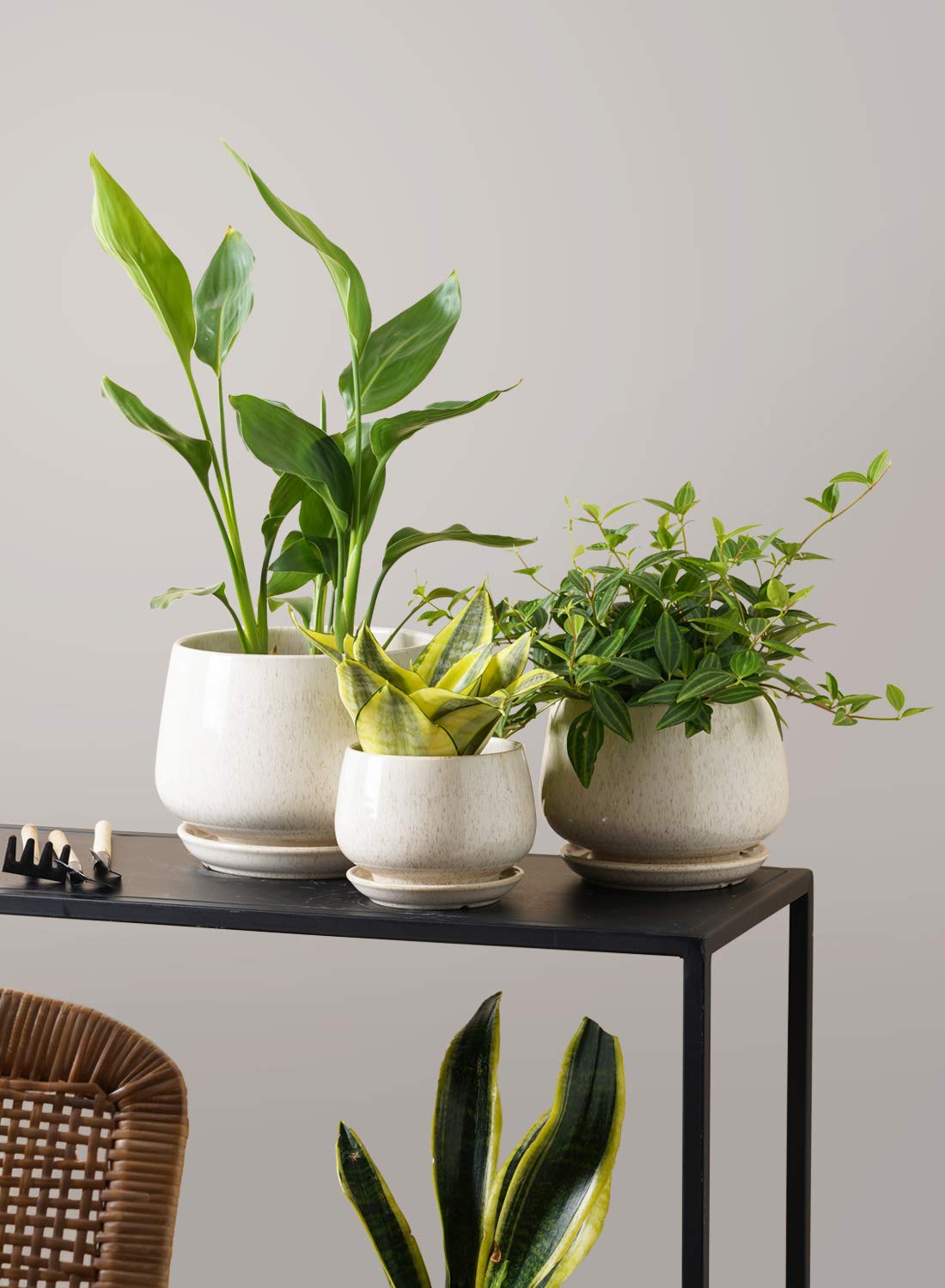 LE TAUCI Plant Pots, 10+13+16 cm Planters, Set of 3 Ceramic Planters with Drainage Hole and Saucer, Indoor Plant Pot with Hole Mesh Pad, Gifts for Mom, Sapphire Blue