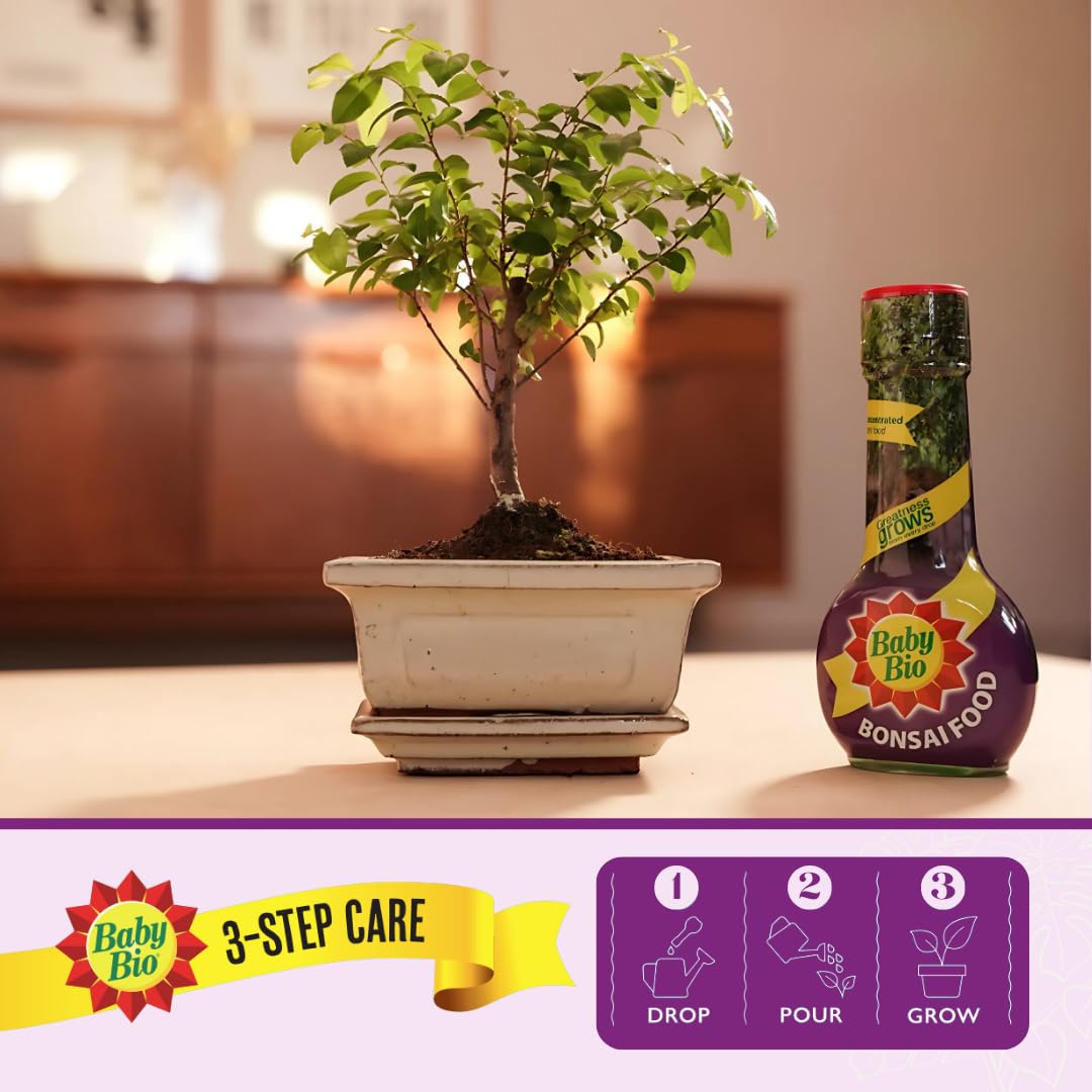 Baby Bio Citrus Food, 175ml - Citrus Plant Food for Healthy Growth and High Potassium for Better Fruit Yield - Year Round Care Concentrate Fertiliser - Fruit Tree Aid Spray