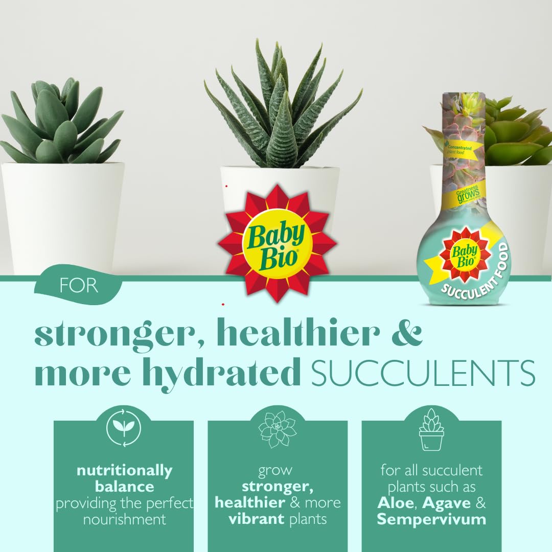 Baby Bio Citrus Food, 175ml - Citrus Plant Food for Healthy Growth and High Potassium for Better Fruit Yield - Year Round Care Concentrate Fertiliser - Fruit Tree Aid Spray