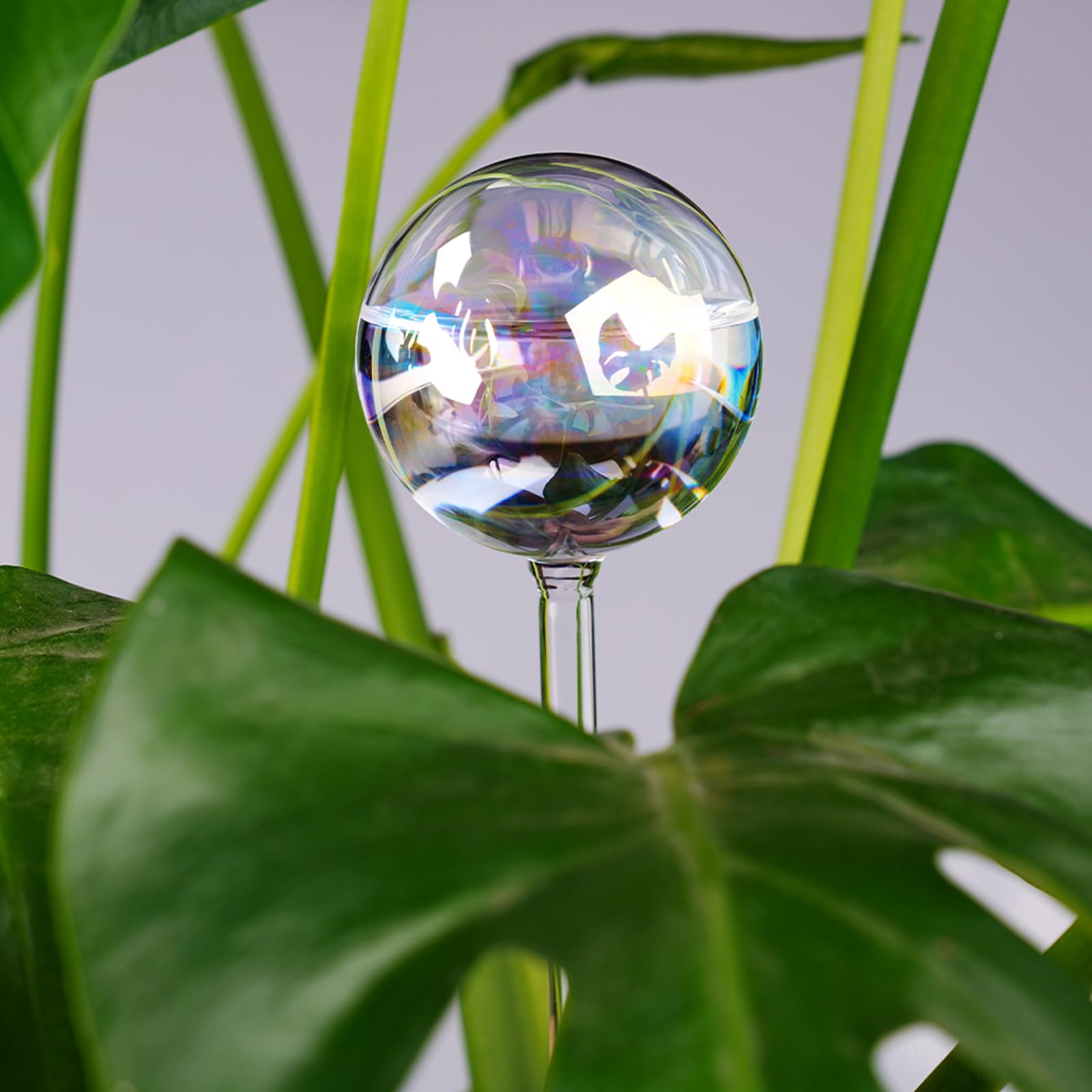 [2 PCS] Light Iridescent Rainbow Gradient Color Clear Glass Self-Watering System Spikes, Self Watering Globes, Self Watering Bulbs, Automatic Plant Waterer Bulbs
