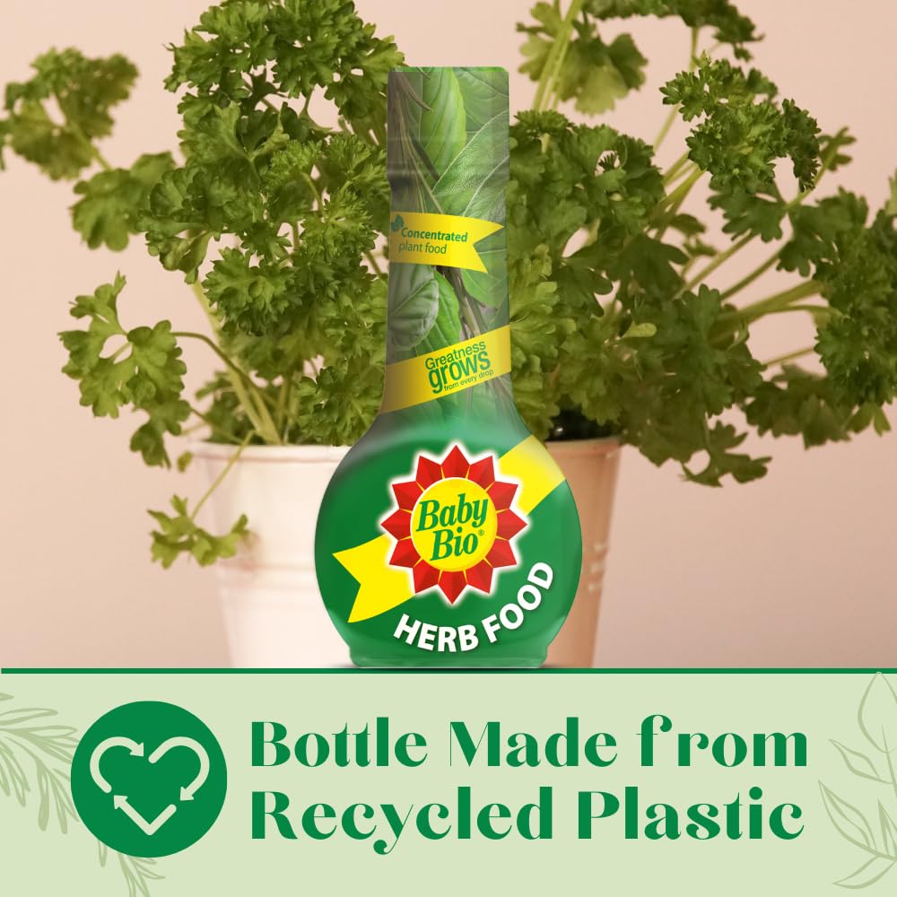 Baby Bio Citrus Food, 175ml - Citrus Plant Food for Healthy Growth and High Potassium for Better Fruit Yield - Year Round Care Concentrate Fertiliser - Fruit Tree Aid Spray