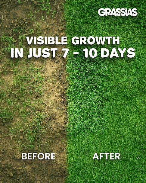 Grassias Premium Hard Wearing Grass Seed – 5KG Premium Quality Lawn Seed for Overseeding & New Lawns – Pet Friendly - Perfect Grass Seeds for UK Lawns - Defra Approved Lawn Seeds