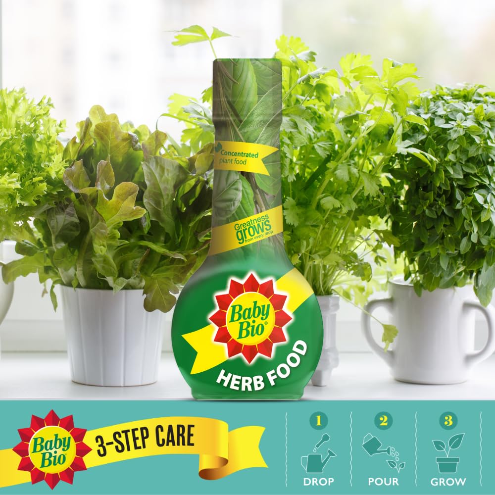 Baby Bio Citrus Food, 175ml - Citrus Plant Food for Healthy Growth and High Potassium for Better Fruit Yield - Year Round Care Concentrate Fertiliser - Fruit Tree Aid Spray