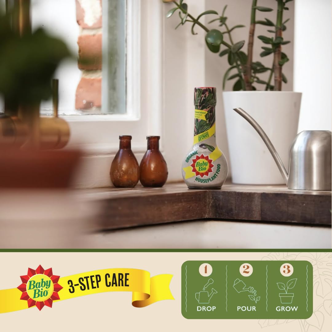 Baby Bio Citrus Food, 175ml - Citrus Plant Food for Healthy Growth and High Potassium for Better Fruit Yield - Year Round Care Concentrate Fertiliser - Fruit Tree Aid Spray