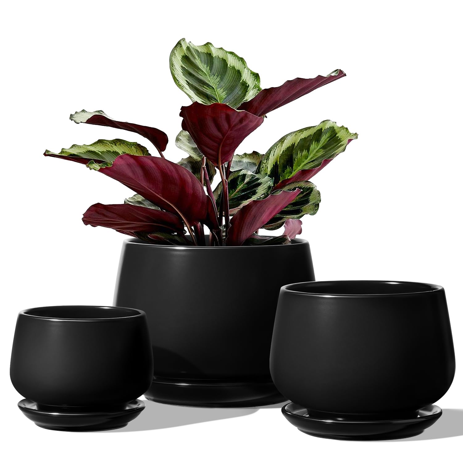 LE TAUCI Plant Pots, 10+13+16 cm Planters, Set of 3 Ceramic Planters with Drainage Hole and Saucer, Indoor Plant Pot with Hole Mesh Pad, Gifts for Mom, Sapphire Blue
