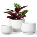 LE TAUCI Plant Pots, 10+13+16 cm Planters, Set of 3 Ceramic Planters with Drainage Hole and Saucer, Indoor Plant Pot with Hole Mesh Pad, Gifts for Mom, Sapphire Blue