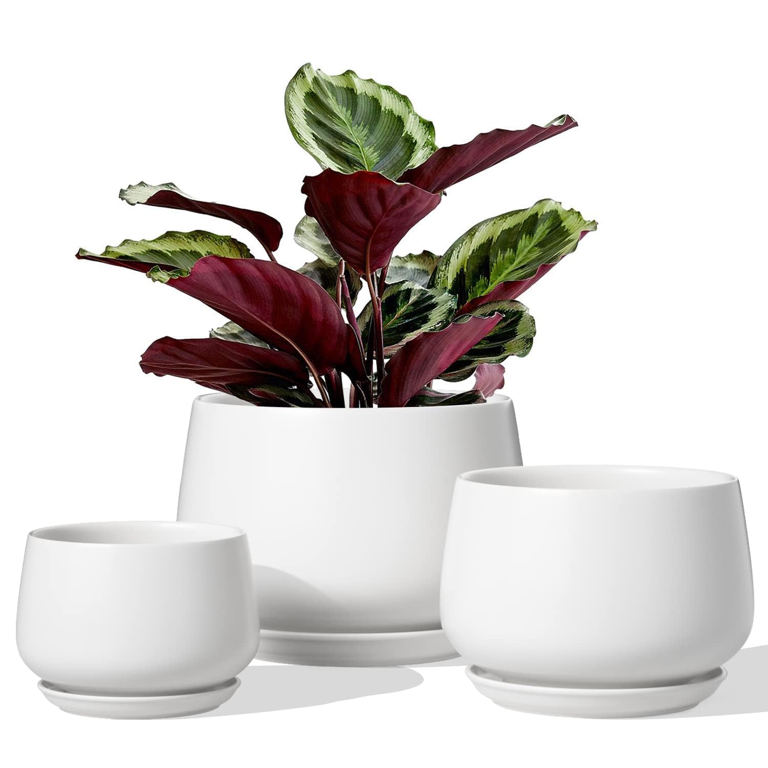 LE TAUCI Plant Pots, 10+13+16 cm Planters, Set of 3 Ceramic Planters with Drainage Hole and Saucer, Indoor Plant Pot with Hole Mesh Pad, Gifts for Mom, Sapphire Blue