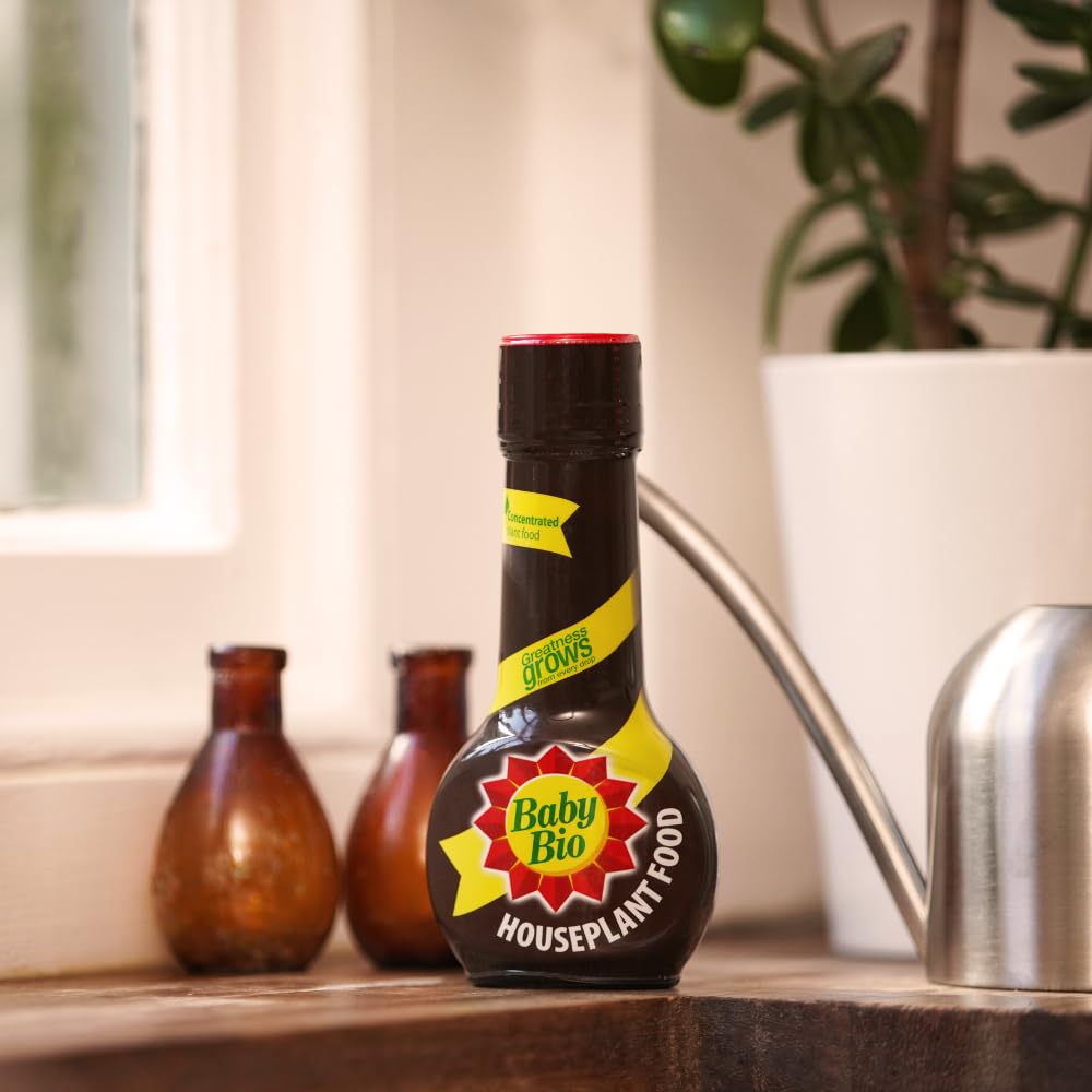 Baby Bio Citrus Food, 175ml - Citrus Plant Food for Healthy Growth and High Potassium for Better Fruit Yield - Year Round Care Concentrate Fertiliser - Fruit Tree Aid Spray