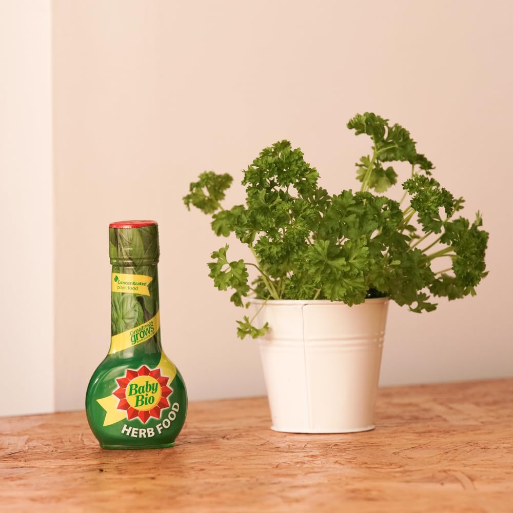 Baby Bio Citrus Food, 175ml - Citrus Plant Food for Healthy Growth and High Potassium for Better Fruit Yield - Year Round Care Concentrate Fertiliser - Fruit Tree Aid Spray
