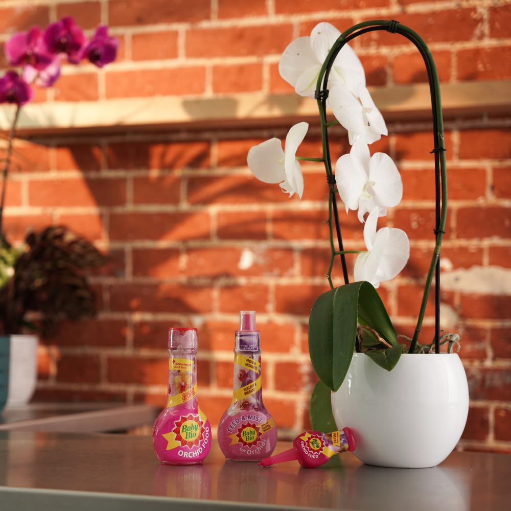 Baby Bio Citrus Food, 175ml - Citrus Plant Food for Healthy Growth and High Potassium for Better Fruit Yield - Year Round Care Concentrate Fertiliser - Fruit Tree Aid Spray