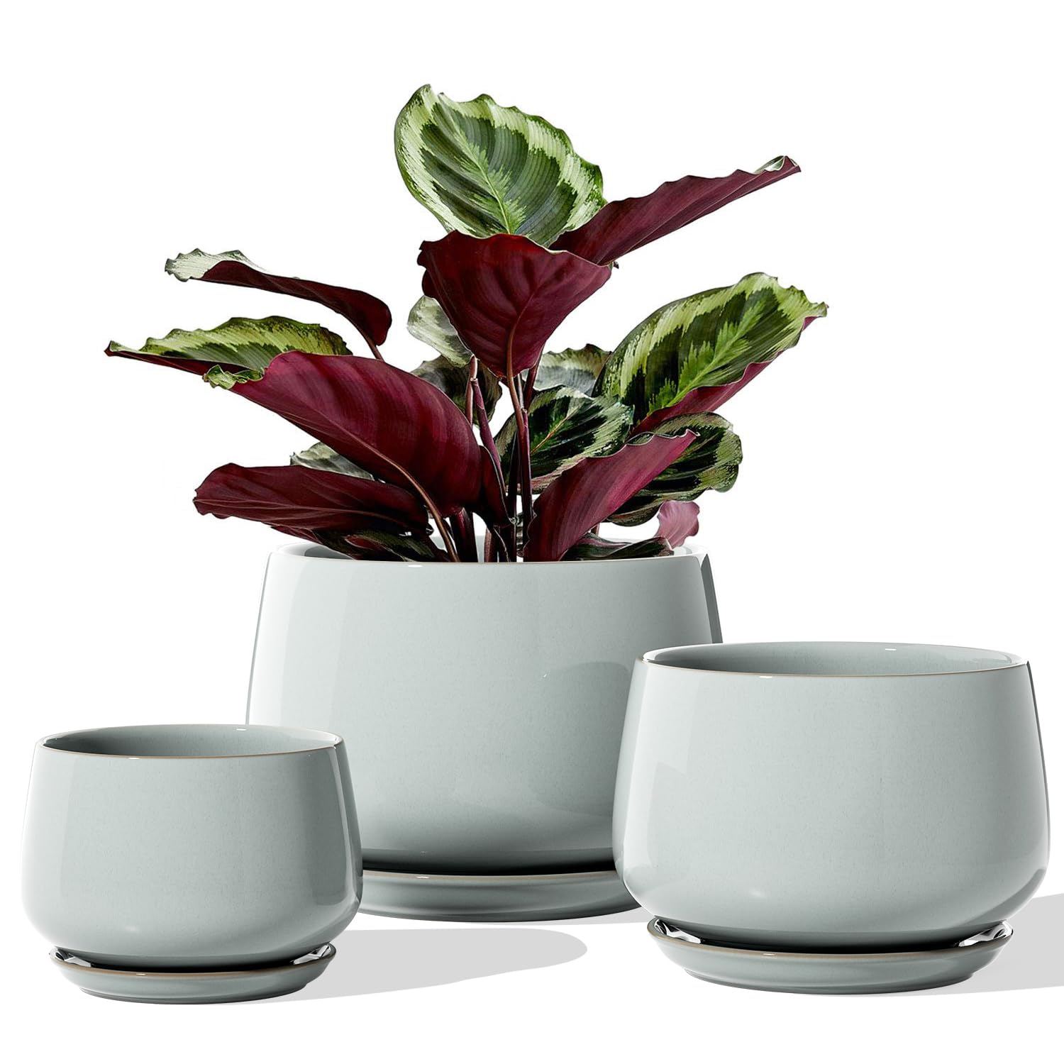 LE TAUCI Plant Pots, 10+13+16 cm Planters, Set of 3 Ceramic Planters with Drainage Hole and Saucer, Indoor Plant Pot with Hole Mesh Pad, Gifts for Mom, Sapphire Blue