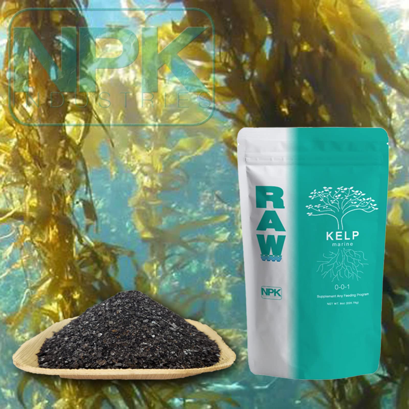 RAW Kelp 0.5 lb.