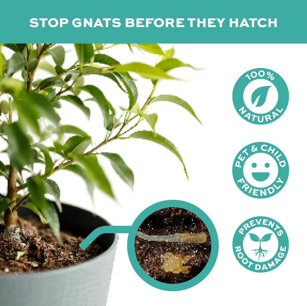 Fungus Gnat Control, Gnat Attack Tablets, Natural, Pesticide-Free Solution for Effective Fungus Gnat & Larvae Control.