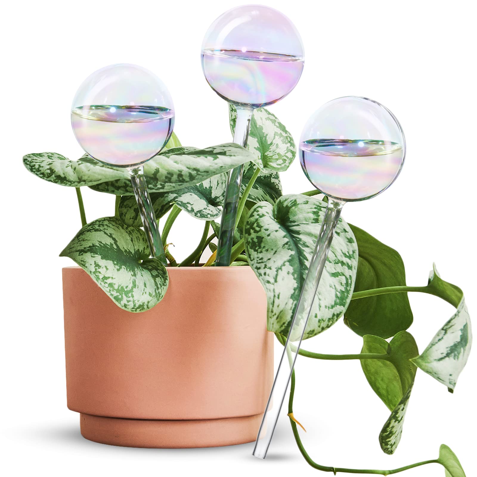 [2 PCS] Light Iridescent Rainbow Gradient Color Clear Glass Self-Watering System Spikes, Self Watering Globes, Self Watering Bulbs, Automatic Plant Waterer Bulbs