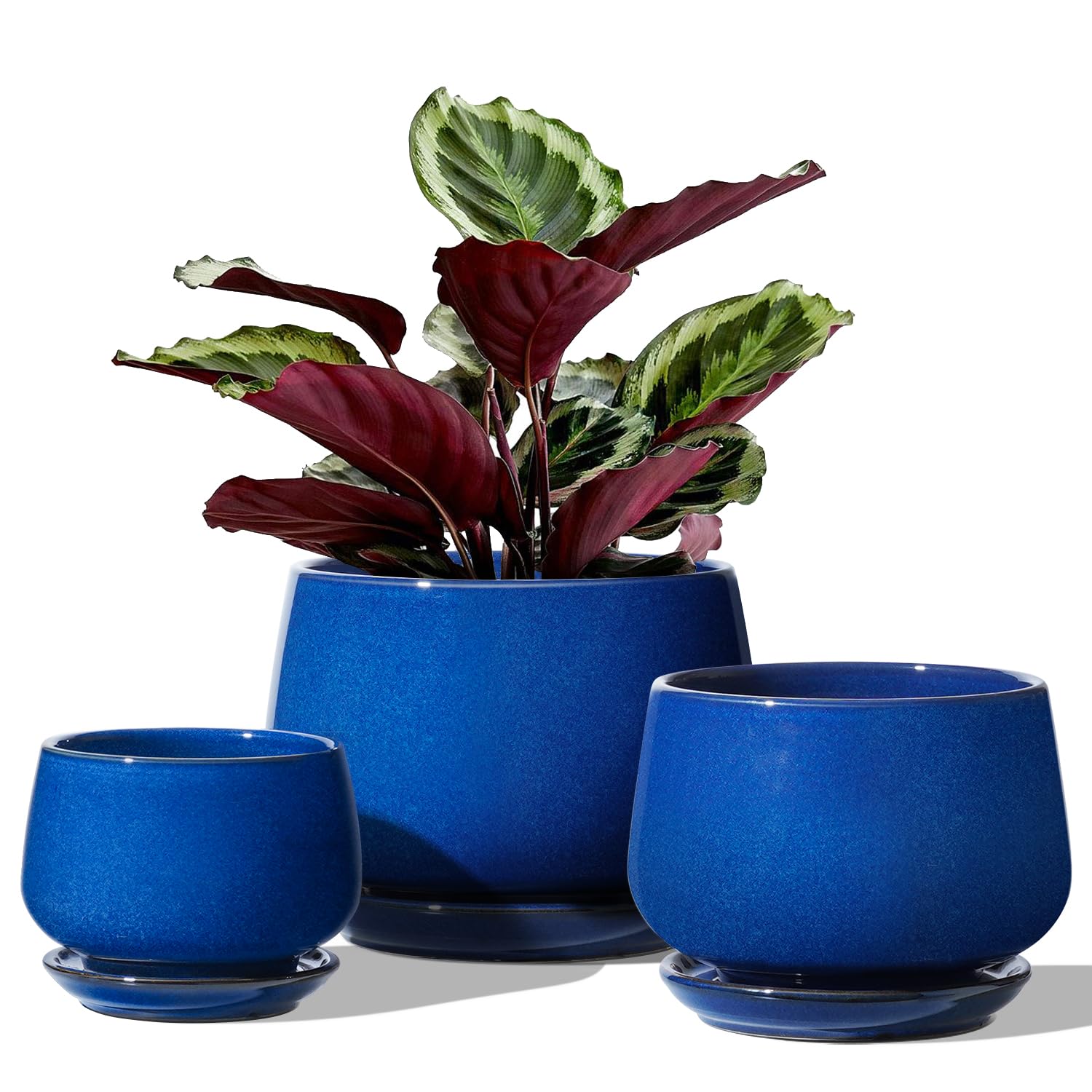 LE TAUCI Plant Pots, 10+13+16 cm Planters, Set of 3 Ceramic Planters with Drainage Hole and Saucer, Indoor Plant Pot with Hole Mesh Pad, Gifts for Mom, Sapphire Blue