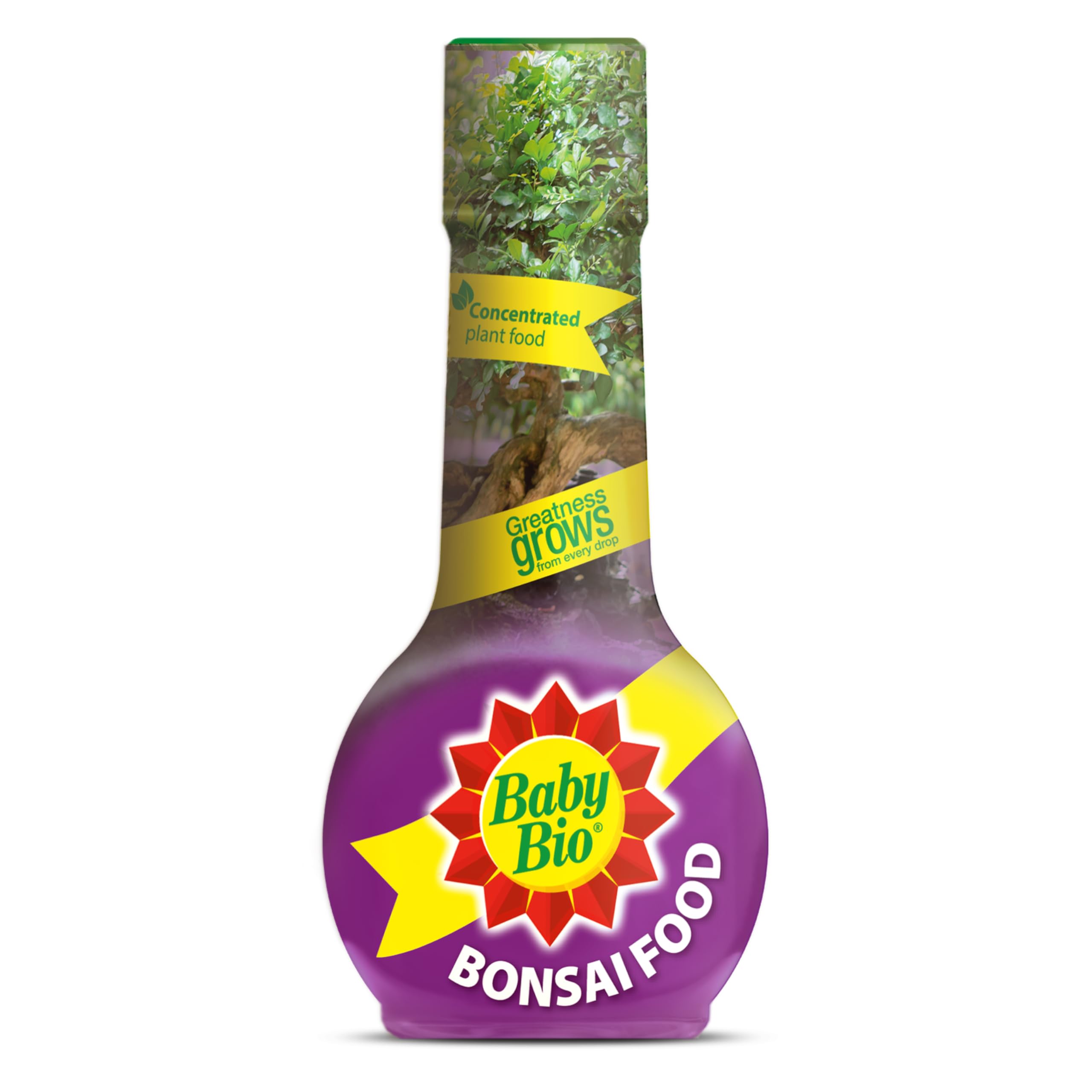 Baby Bio Citrus Food, 175ml - Citrus Plant Food for Healthy Growth and High Potassium for Better Fruit Yield - Year Round Care Concentrate Fertiliser - Fruit Tree Aid Spray