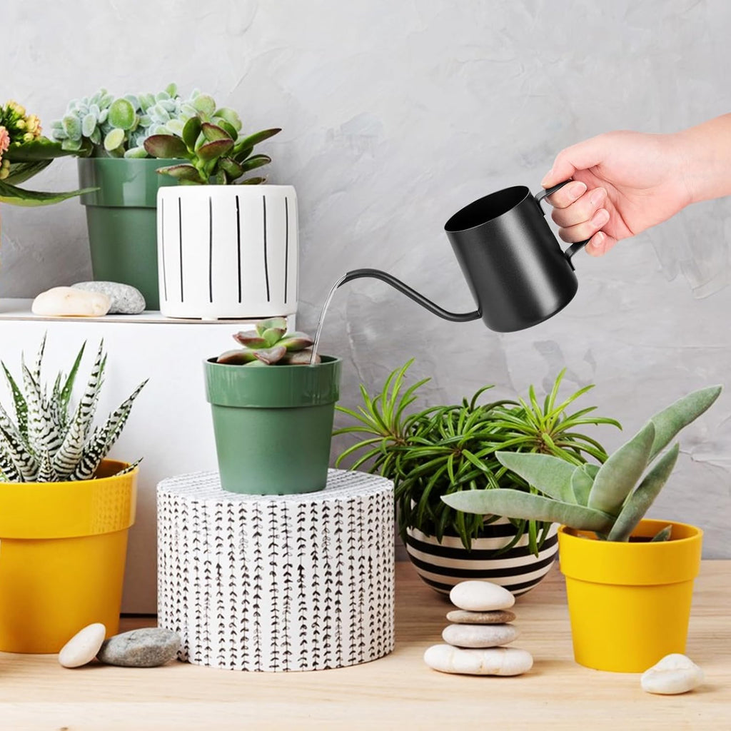 250 ml Black Watering Can, Small Indoor Plants, Mini Watering Can, Stainless Steel Long Spout Watering Can, Garden Watering Can for Indoor Plants, Succulents