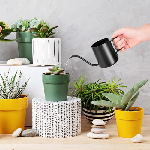 250 ml Black Watering Can, Small Indoor Plants, Mini Watering Can, Stainless Steel Long Spout Watering Can, Garden Watering Can for Indoor Plants, Succulents