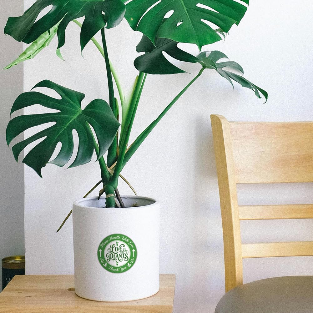 320 Pcs Green Live Plants Stickers, 5 CM Please Handle with Love Stickers Fragile Thank You Shipping Labels Round Self-Adhesive Lables for Garden Plants Landscaping Containers