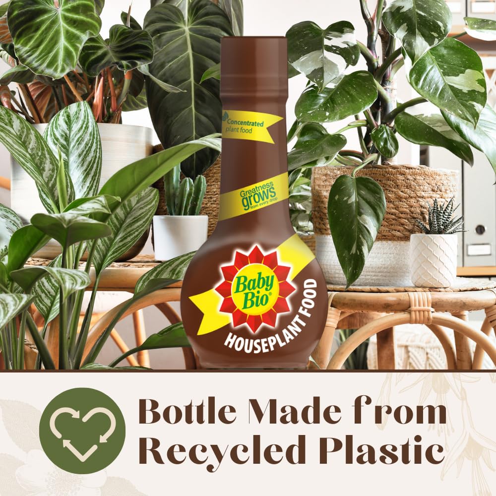 Baby Bio Citrus Food, 175ml - Citrus Plant Food for Healthy Growth and High Potassium for Better Fruit Yield - Year Round Care Concentrate Fertiliser - Fruit Tree Aid Spray