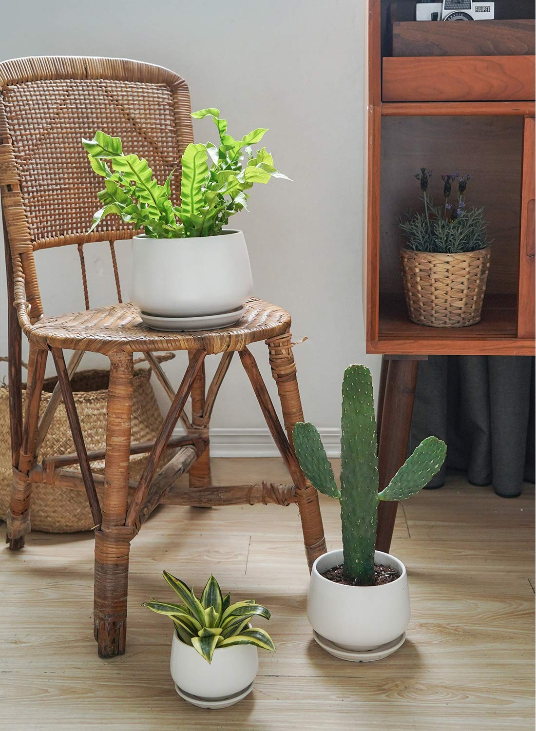 LE TAUCI Plant Pots, 10+13+16 cm Planters, Set of 3 Ceramic Planters with Drainage Hole and Saucer, Indoor Plant Pot with Hole Mesh Pad, Gifts for Mom, Sapphire Blue