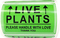 Green Live Plants Stickers for Shipping 2x3 inch Please Handle with Love Stickers Fragile Shipping Labels for Warehouse Pallet Garden Centers,Landscaping,Nurseries 250pcs Live Plants Sticker per roll