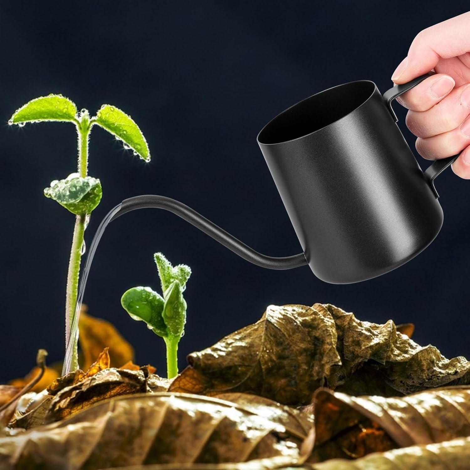 250 ml Black Watering Can, Small Indoor Plants, Mini Watering Can, Stainless Steel Long Spout Watering Can, Garden Watering Can for Indoor Plants, Succulents