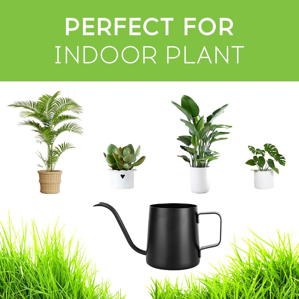 250 ml Black Watering Can, Small Indoor Plants, Mini Watering Can, Stainless Steel Long Spout Watering Can, Garden Watering Can for Indoor Plants, Succulents