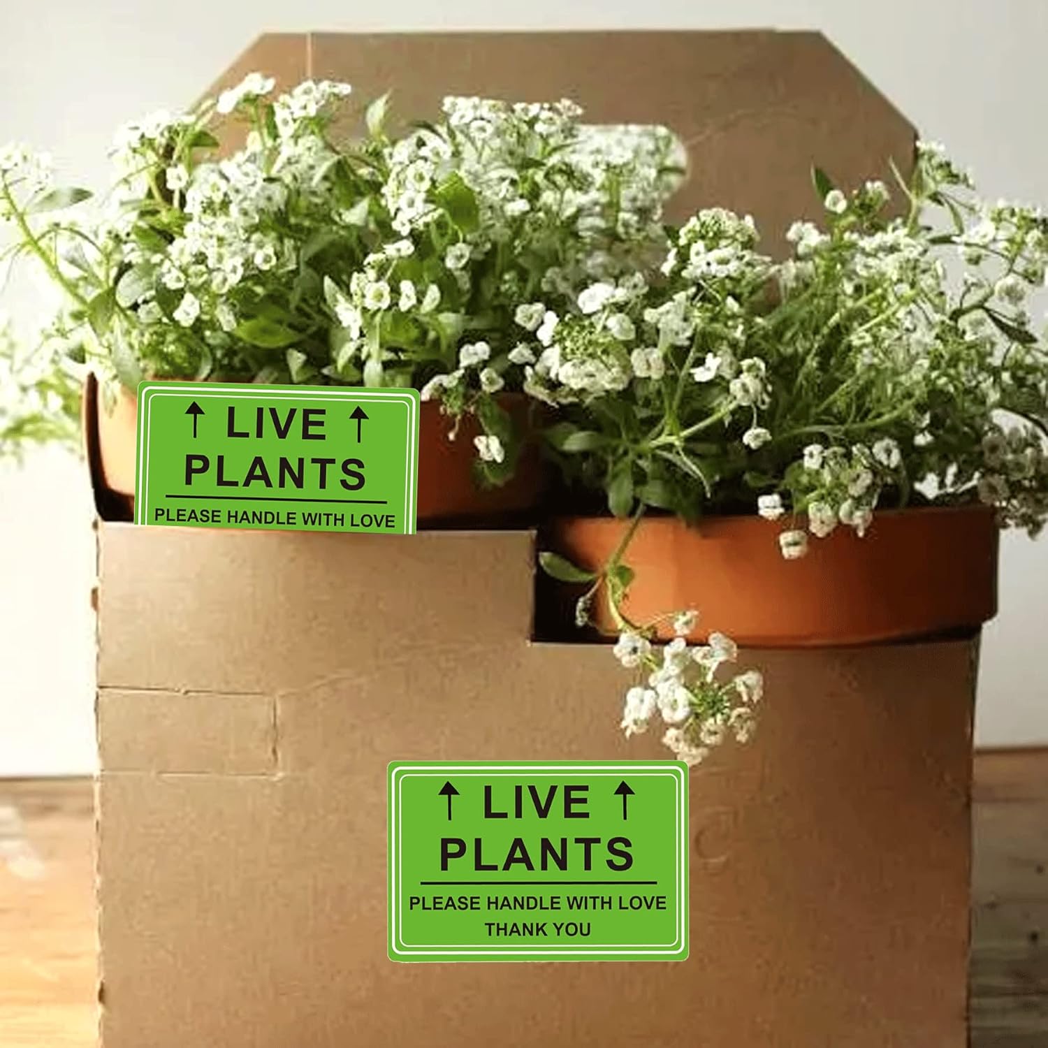 Green Live Plants Stickers for Shipping 2x3 inch Please Handle with Love Stickers Fragile Shipping Labels for Warehouse Pallet Garden Centers,Landscaping,Nurseries 250pcs Live Plants Sticker per roll