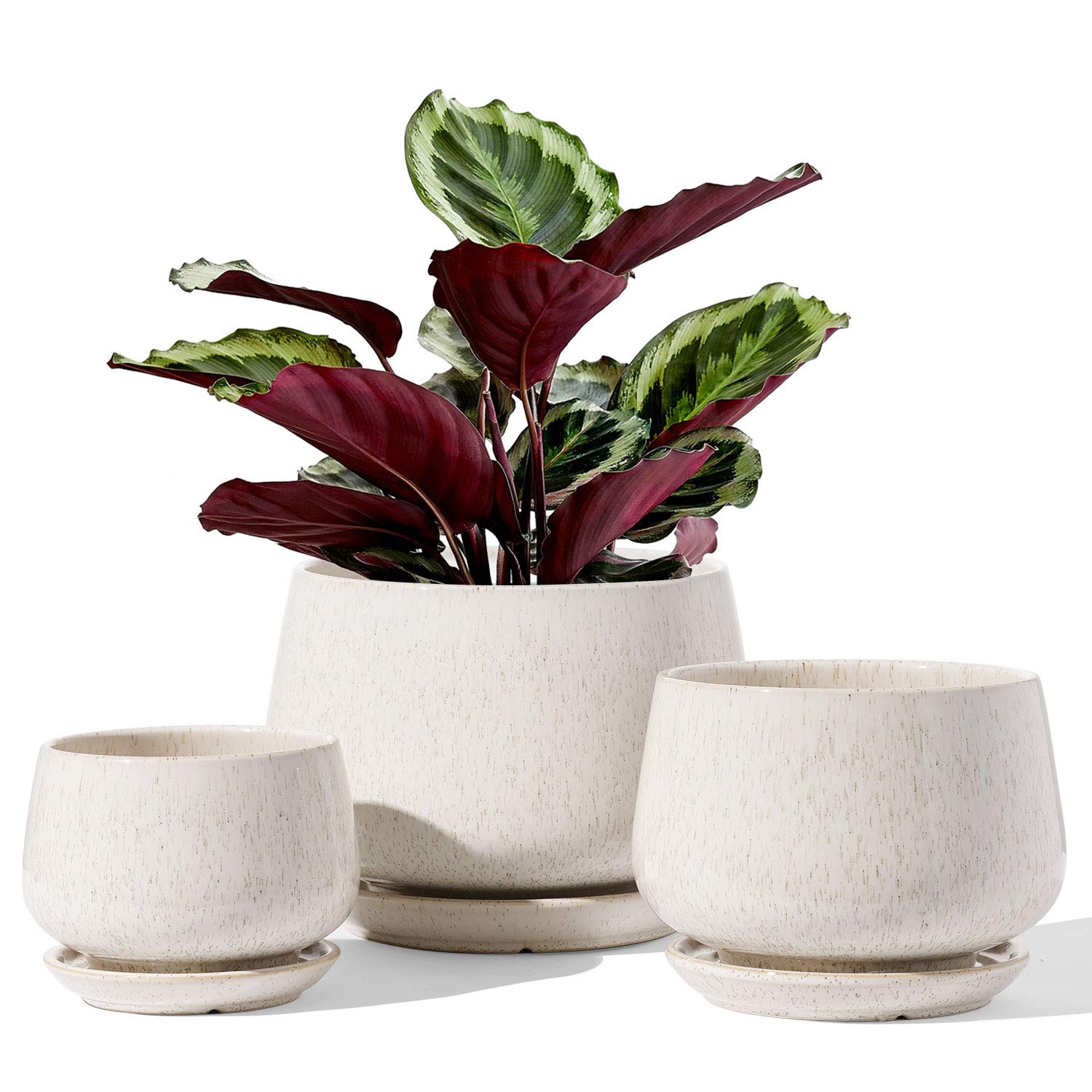 LE TAUCI Plant Pots, 10+13+16 cm Planters, Set of 3 Ceramic Planters with Drainage Hole and Saucer, Indoor Plant Pot with Hole Mesh Pad, Gifts for Mom, Sapphire Blue