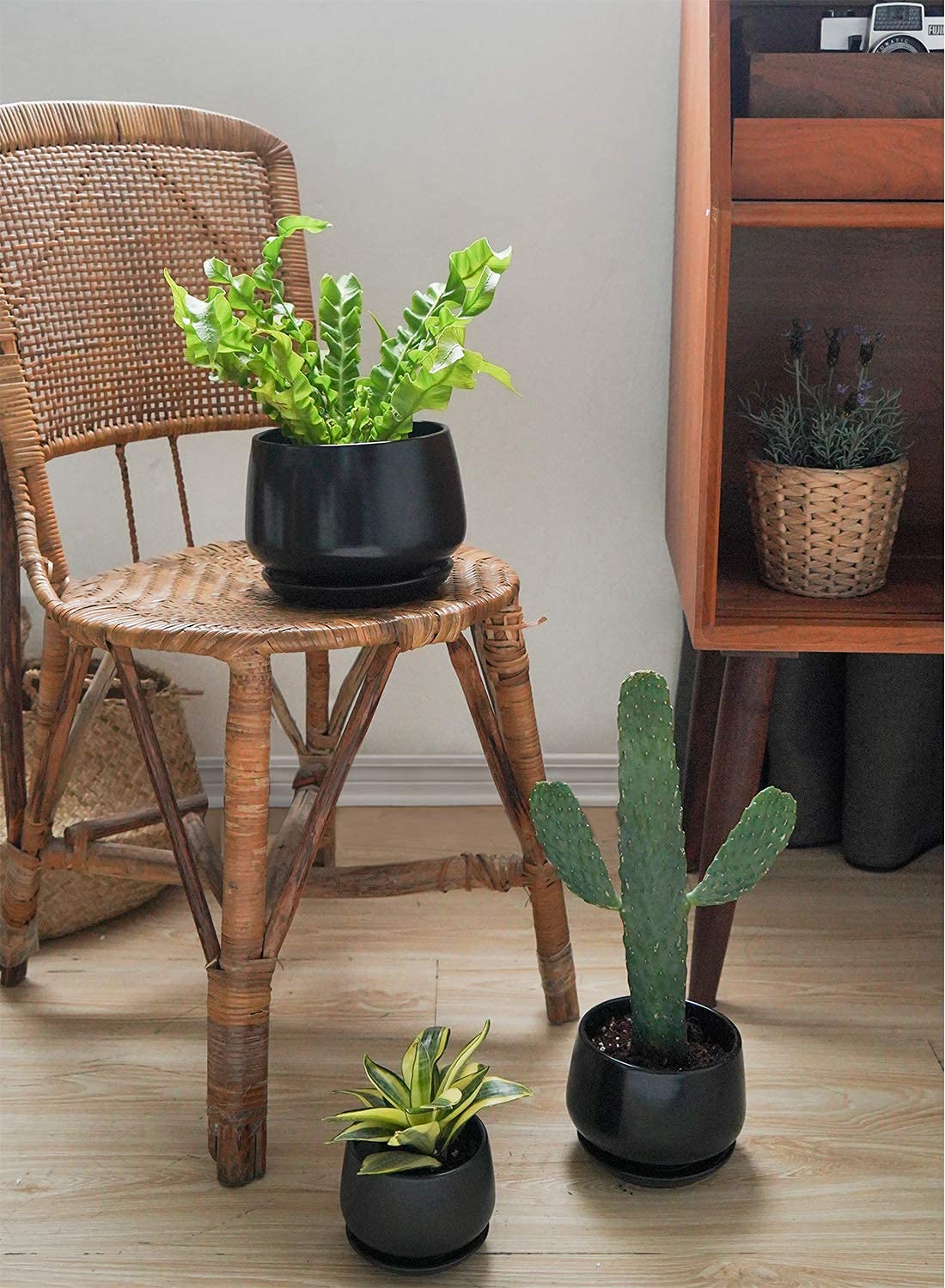 LE TAUCI Plant Pots, 10+13+16 cm Planters, Set of 3 Ceramic Planters with Drainage Hole and Saucer, Indoor Plant Pot with Hole Mesh Pad, Gifts for Mom, Sapphire Blue