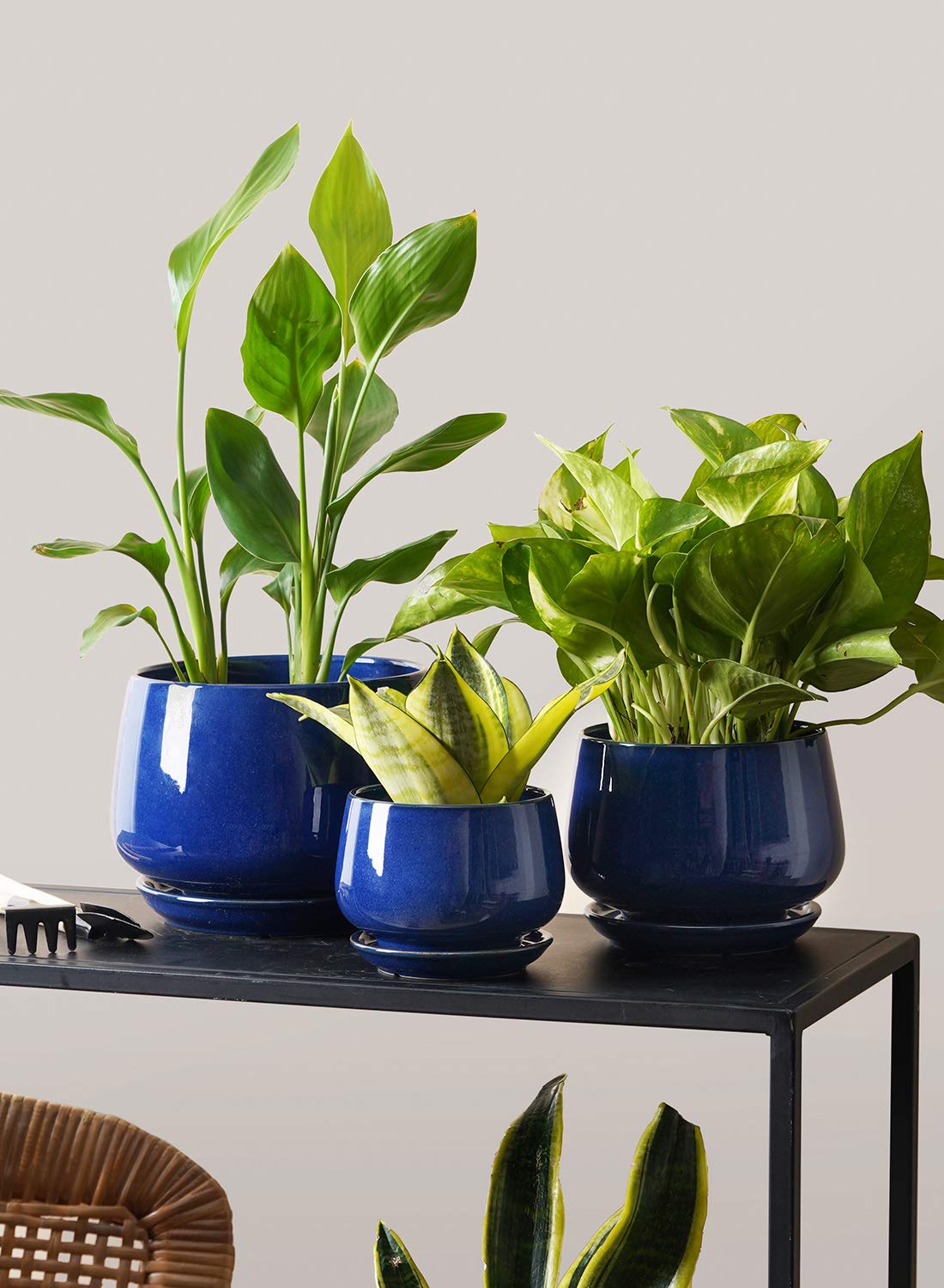LE TAUCI Plant Pots, 10+13+16 cm Planters, Set of 3 Ceramic Planters with Drainage Hole and Saucer, Indoor Plant Pot with Hole Mesh Pad, Gifts for Mom, Sapphire Blue