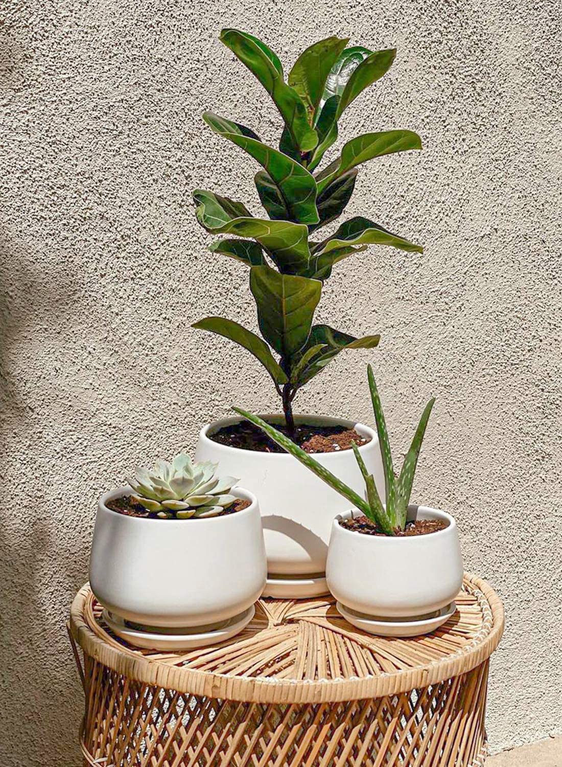 LE TAUCI Plant Pots, 10+13+16 cm Planters, Set of 3 Ceramic Planters with Drainage Hole and Saucer, Indoor Plant Pot with Hole Mesh Pad, Gifts for Mom, Sapphire Blue