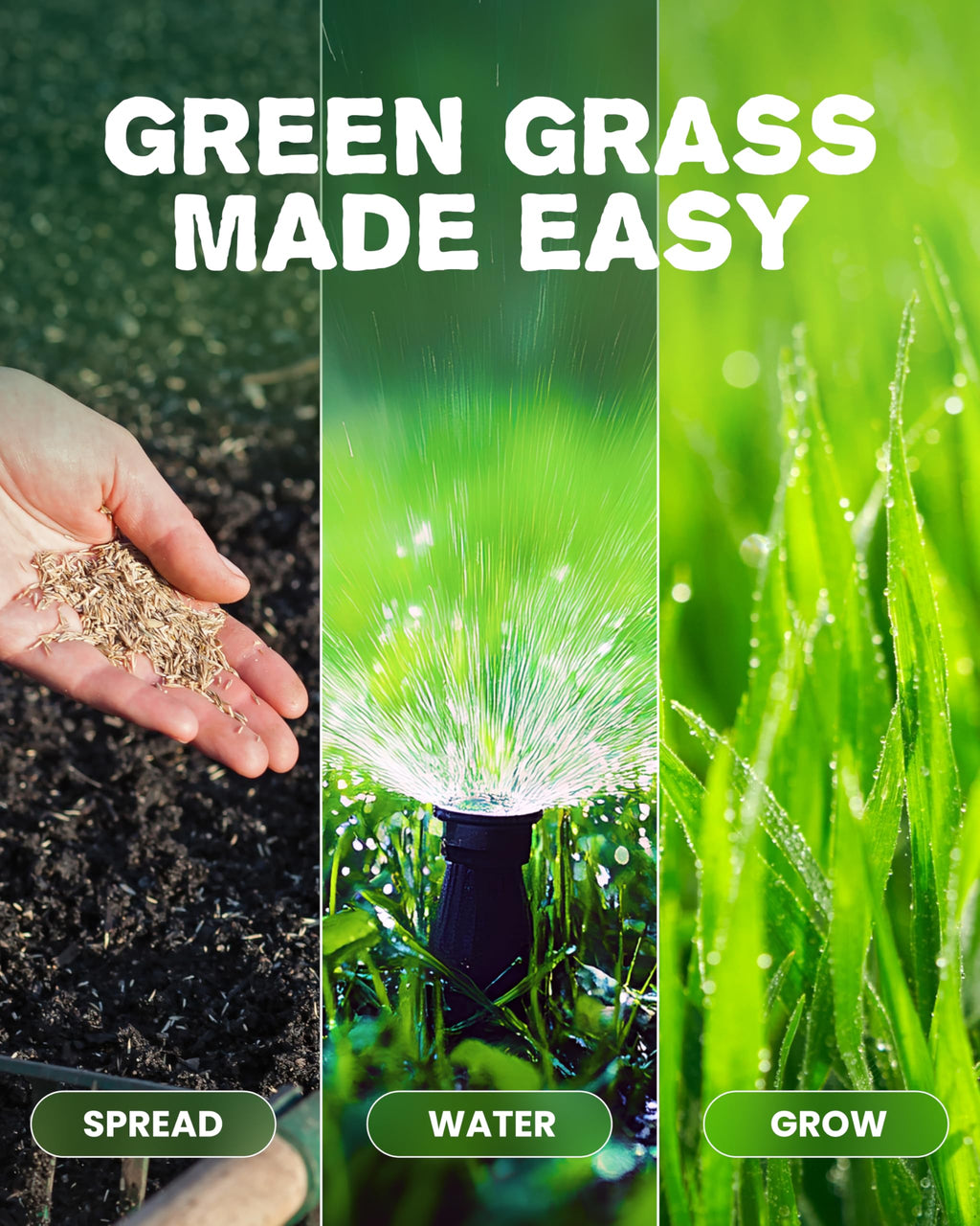 Grassias Premium Hard Wearing Grass Seed – 5KG Premium Quality Lawn Seed for Overseeding & New Lawns – Pet Friendly - Perfect Grass Seeds for UK Lawns - Defra Approved Lawn Seeds