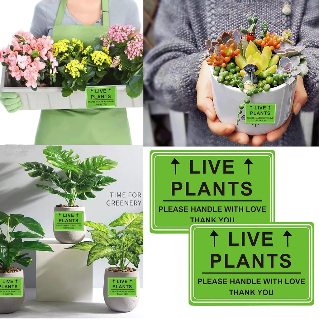Green Live Plants Stickers for Shipping 2x3 inch Please Handle with Love Stickers Fragile Shipping Labels for Warehouse Pallet Garden Centers,Landscaping,Nurseries 250pcs Live Plants Sticker per roll