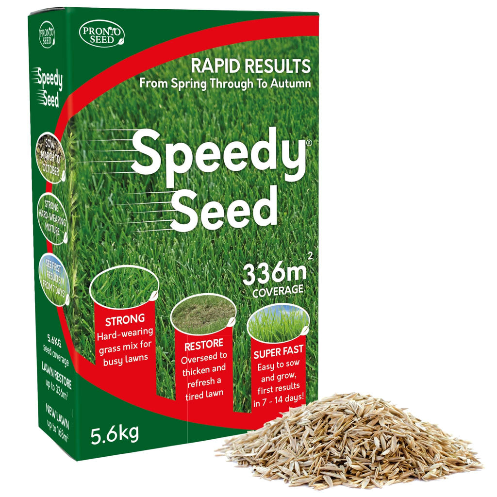 Pronto Seed Premium Grass Seed 1.4 kg - Fast Growing, Hard-Wearing - Covers 84m² for Lawns & Overseeding - DEFRA Approved & Tailored for UK Climate (1.4kg)