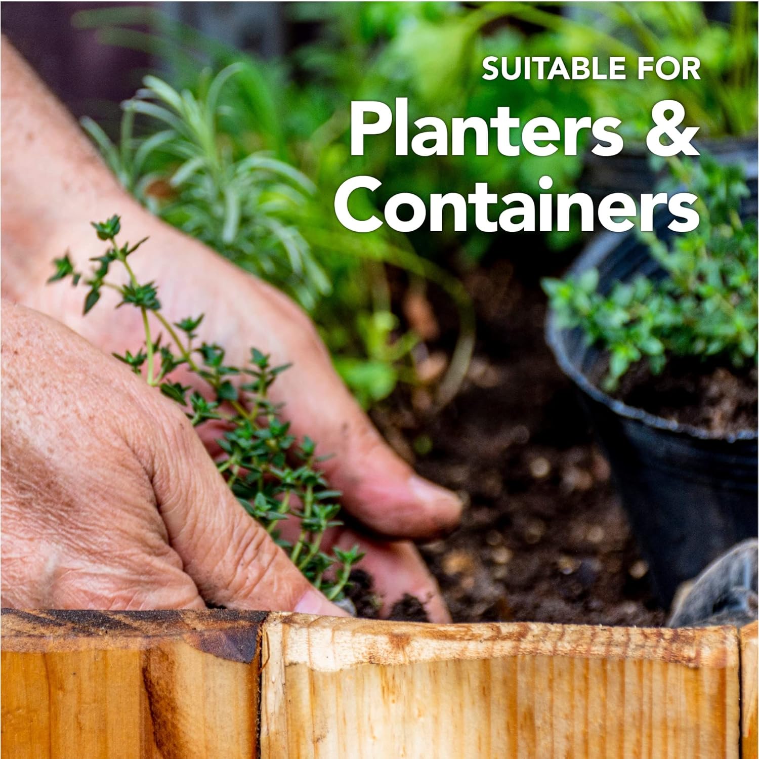 Seed Sowing, Cutting & Planting Compost 60L - Specially Formulated For Germinating Seedlings & Planting Cuttings - Professional Blend which has 6 months feeding as standard - By Jamieson Brothers