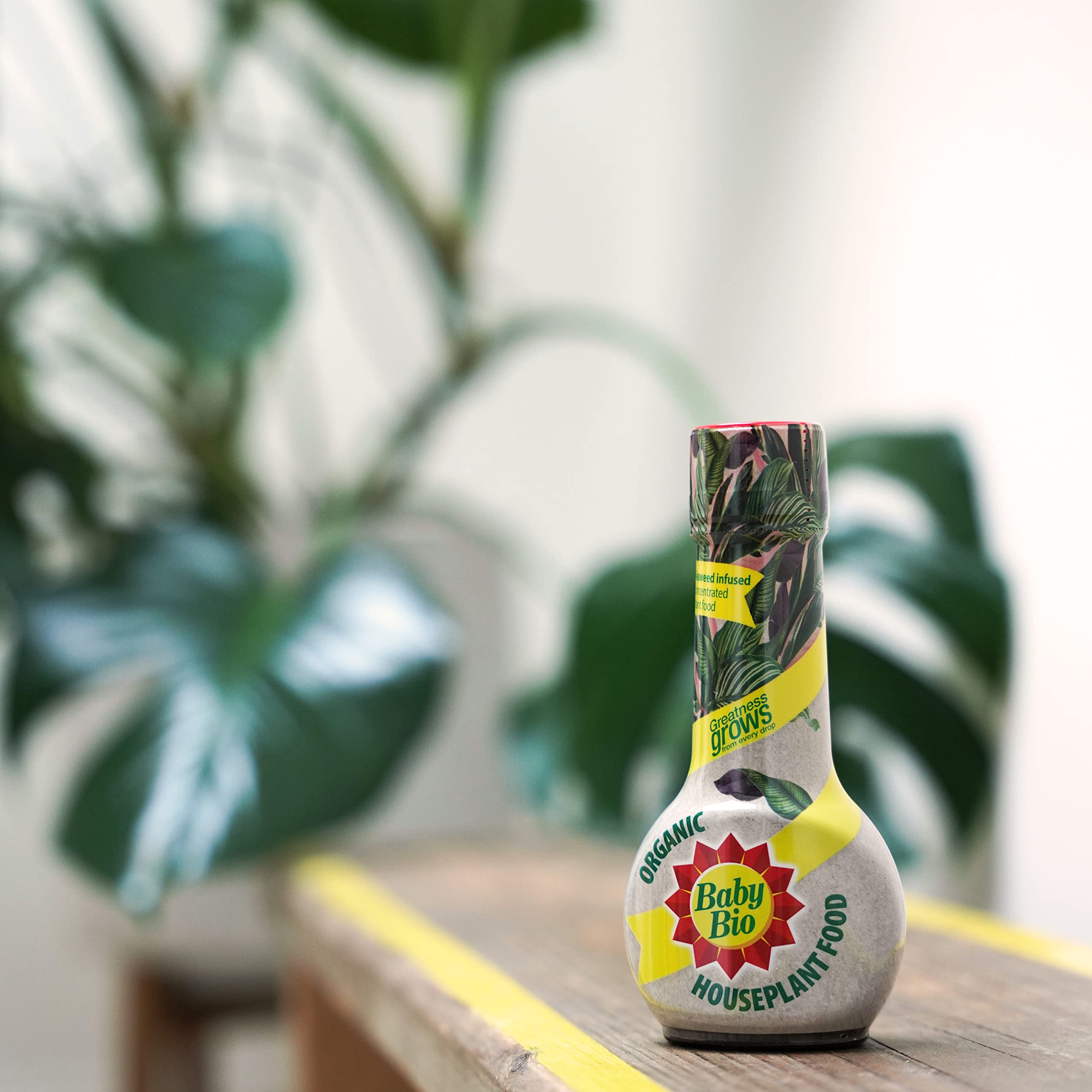 Baby Bio Citrus Food, 175ml - Citrus Plant Food for Healthy Growth and High Potassium for Better Fruit Yield - Year Round Care Concentrate Fertiliser - Fruit Tree Aid Spray