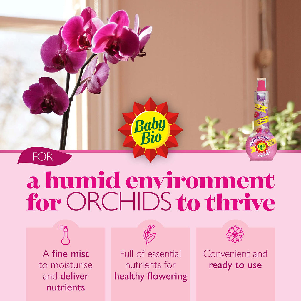Baby Bio Citrus Food, 175ml - Citrus Plant Food for Healthy Growth and High Potassium for Better Fruit Yield - Year Round Care Concentrate Fertiliser - Fruit Tree Aid Spray